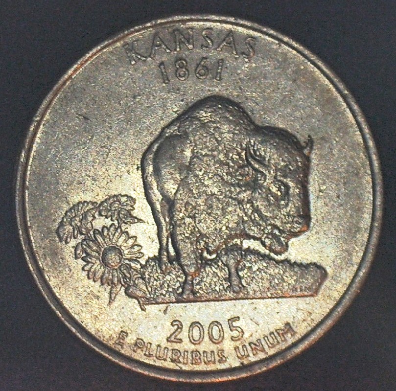 2005-D-Kansas-Buffalo,-Speared